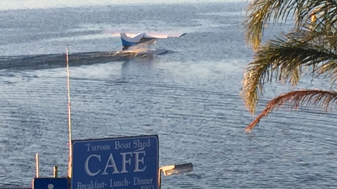 Photo of Others in Tuross Head