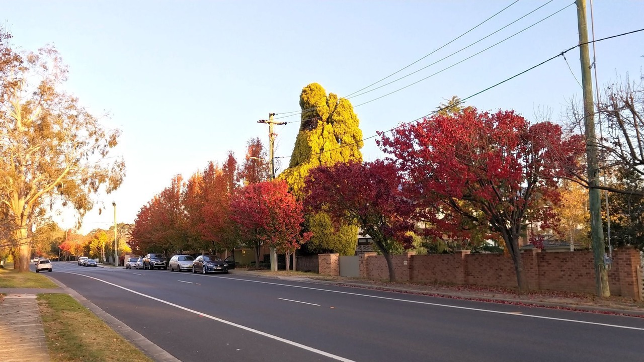Photo of Outdoor in Bowral