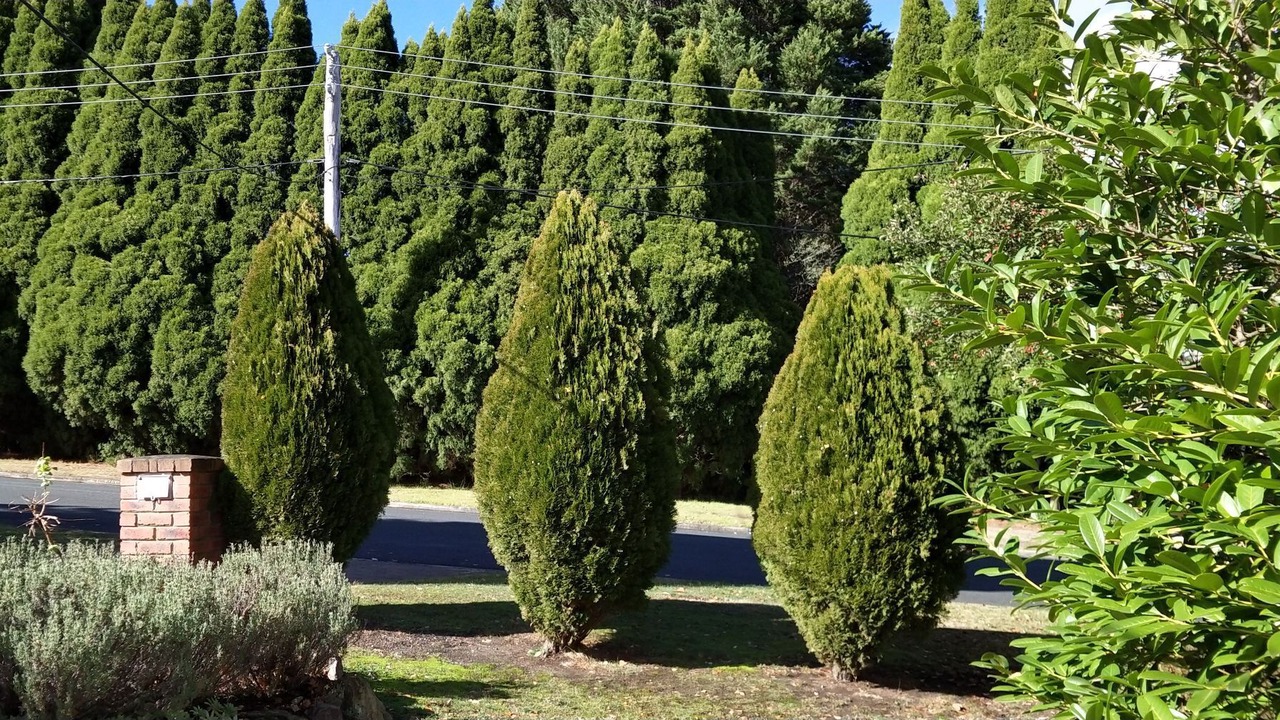 Photo of Outdoor in Bowral