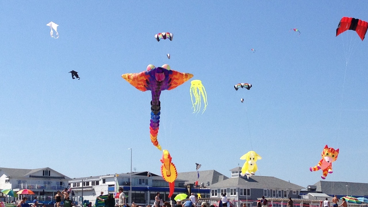 Photo of Others in Hampton