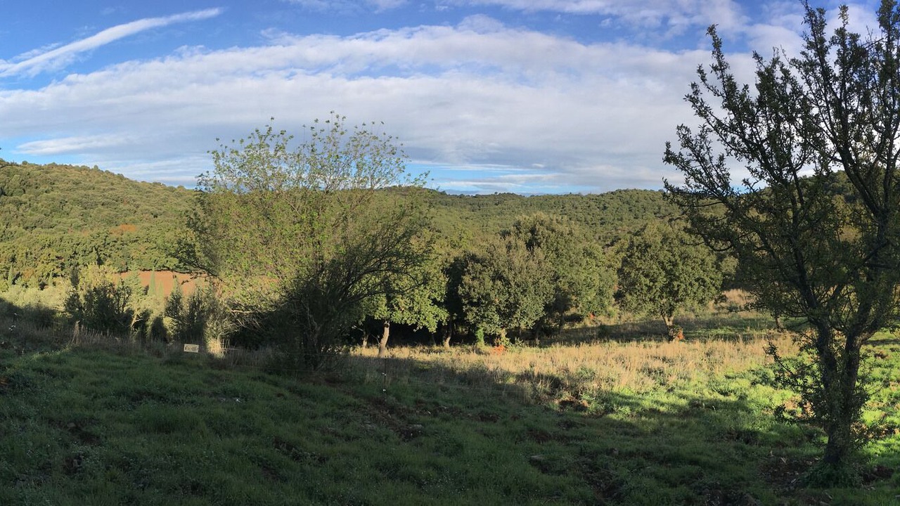 Photo of Outdoor in Castelnou