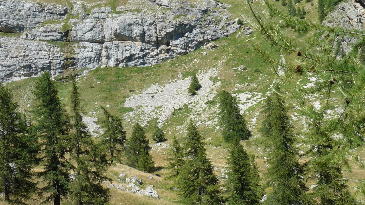 Photo of Others in Puy-Saint-Pierre