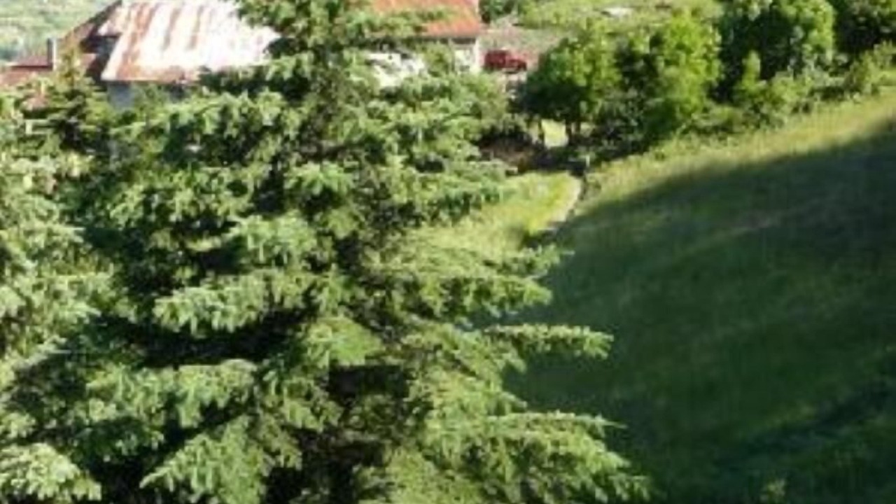 Photo of Others in Puy-Saint-Pierre