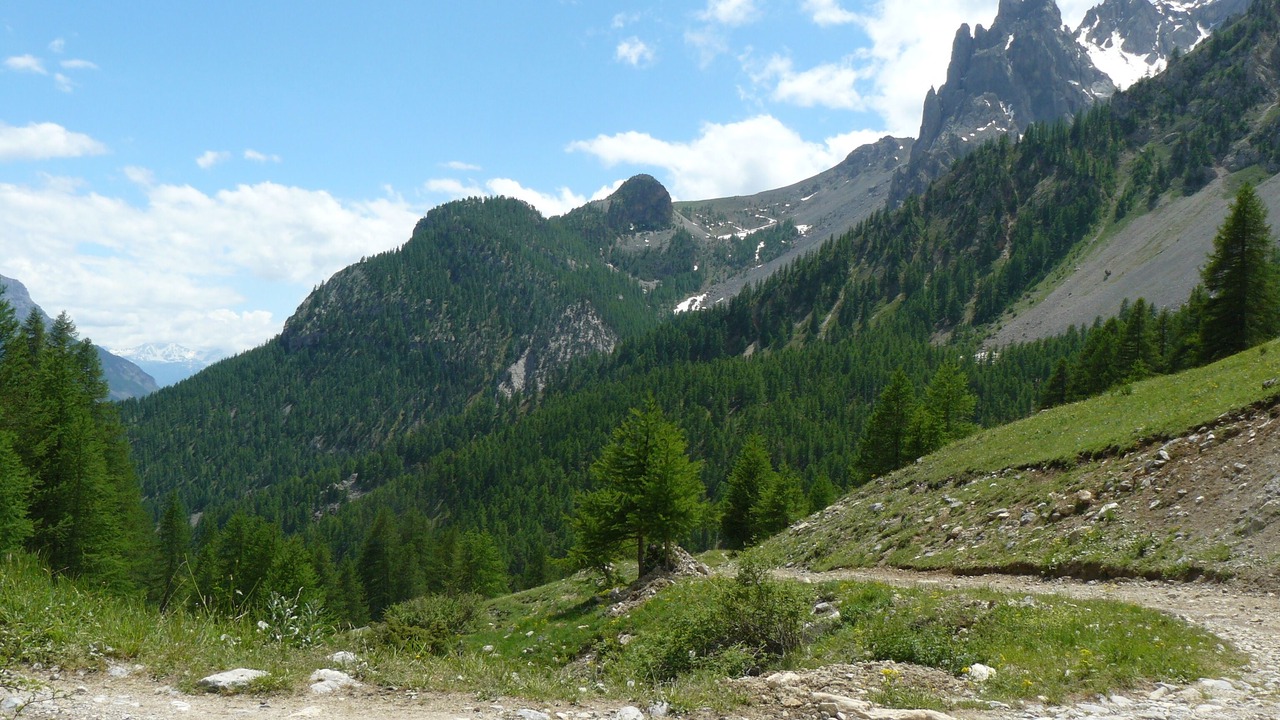 Photo of Others in Puy-Saint-Pierre