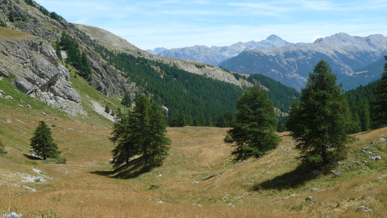 Photo of Outdoor in Puy-Saint-Pierre