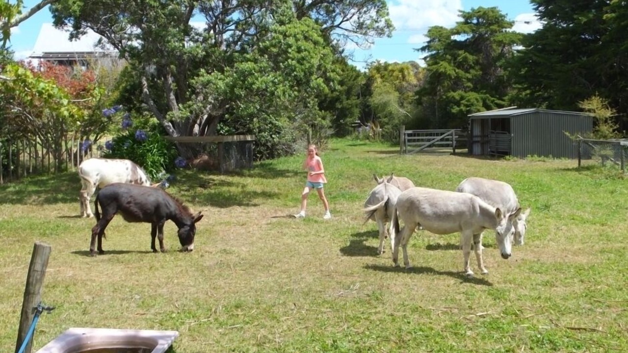 Photo of Others in Algies Bay