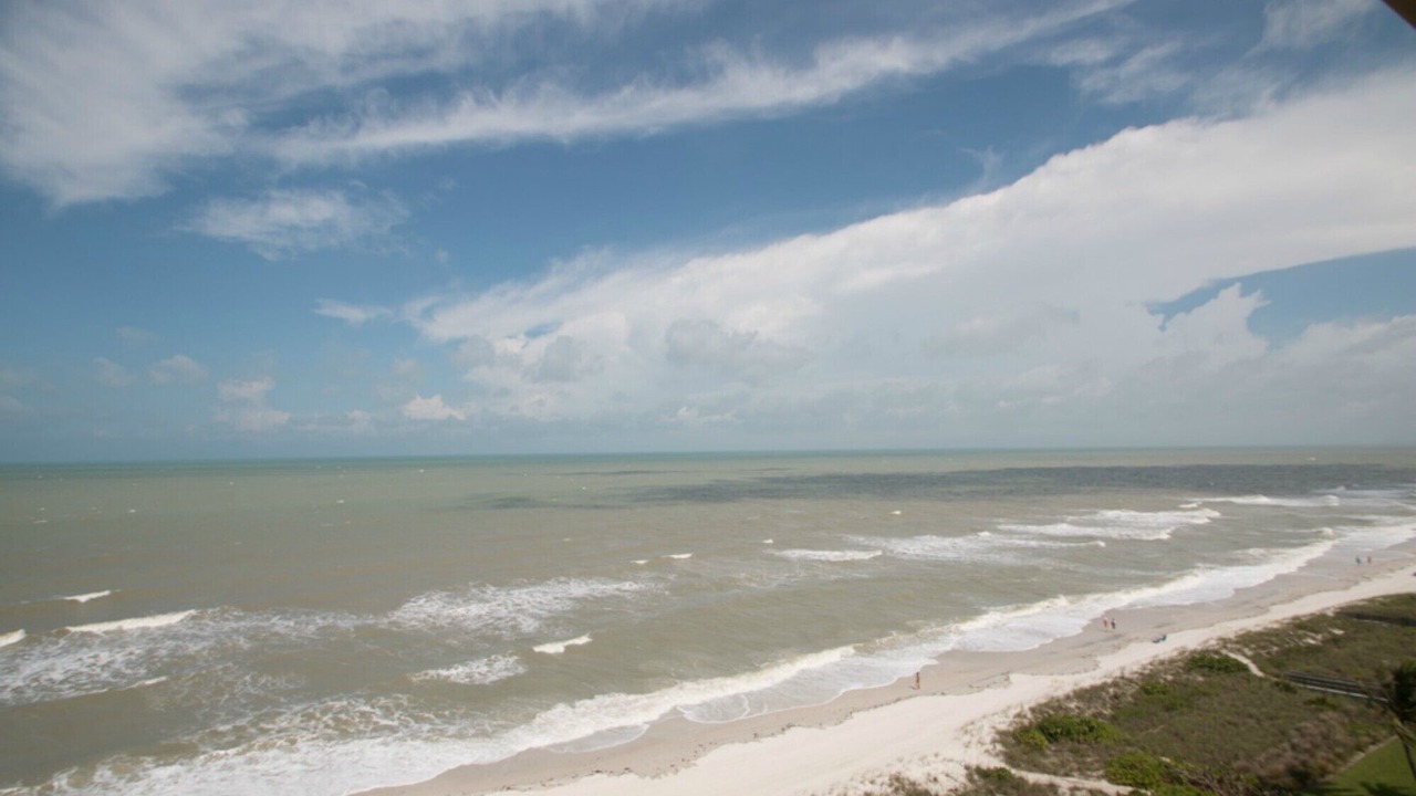 Photo of Others in Vanderbilt Beach