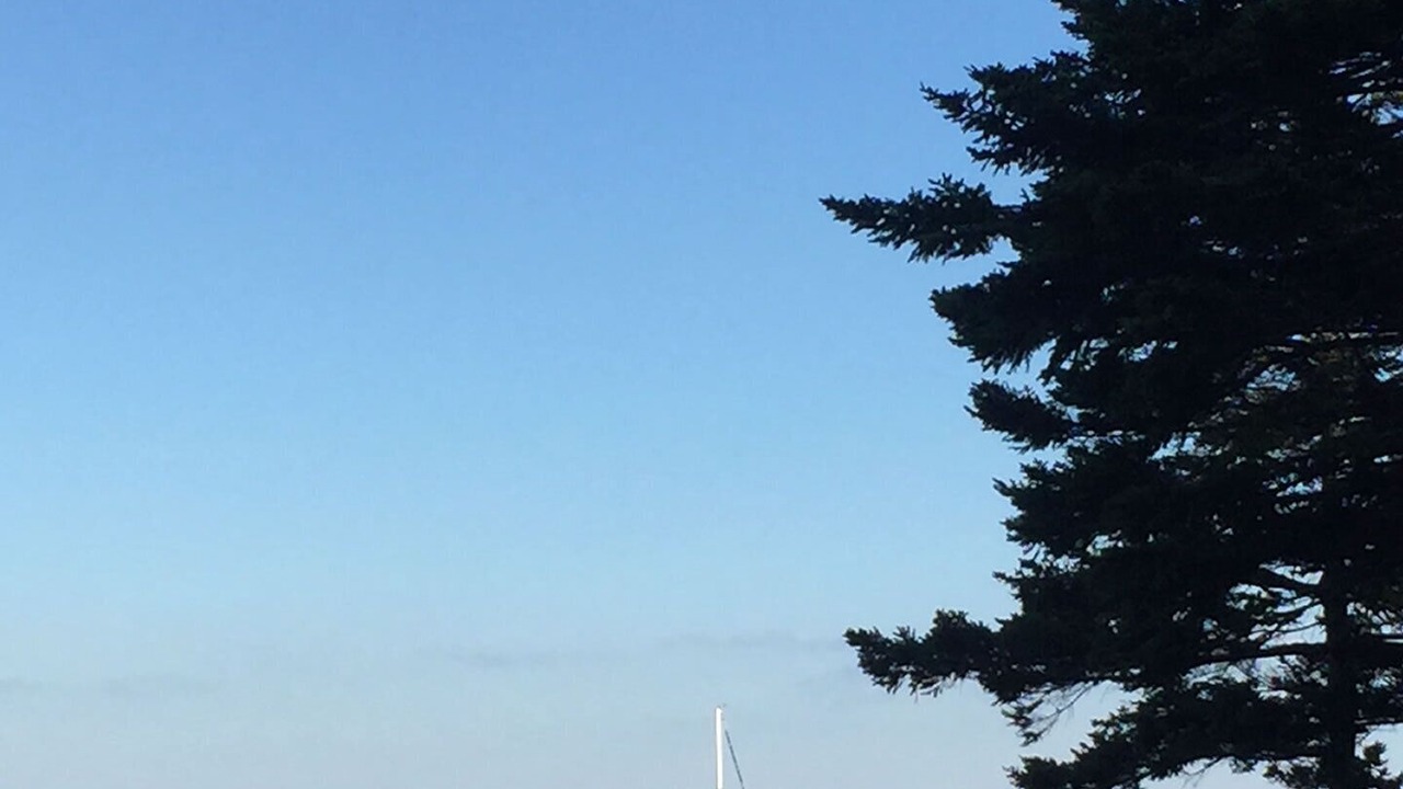 Photo of Others in Sebascodegan Island