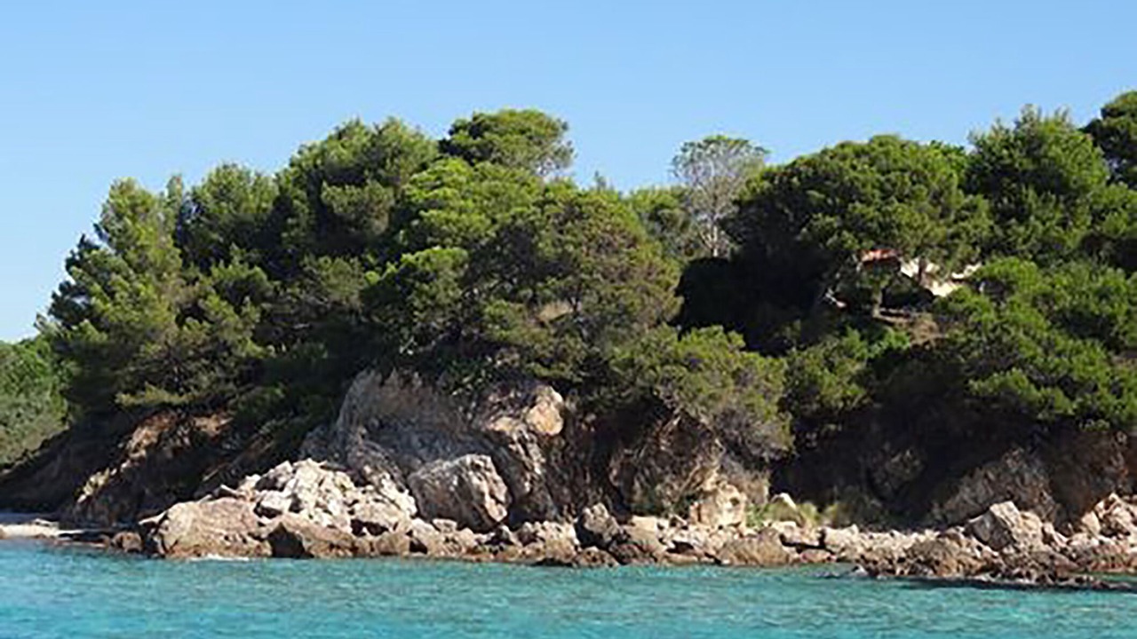 Photo of Others in Cavaliere Beach