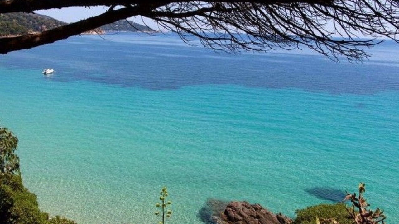 Photo of Others in Cavaliere Beach