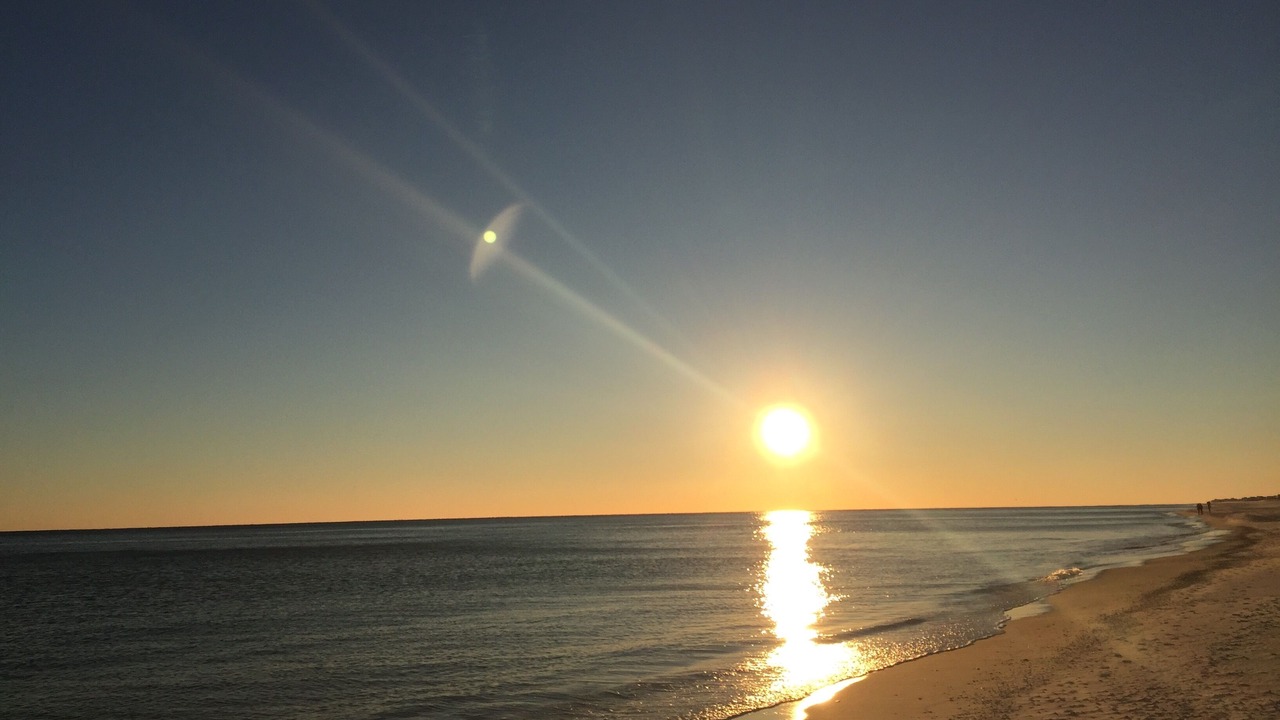 Photo of Others in Gulf Shores