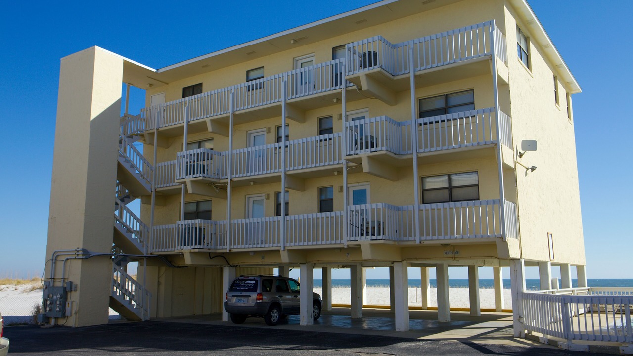 Photo of Others in Gulf Shores