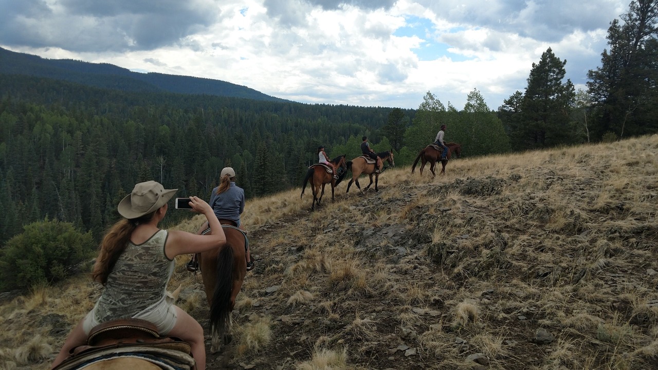 Photo of Others in Pinetop
