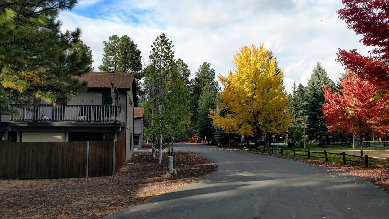 Photo of Outdoor in Pinetop