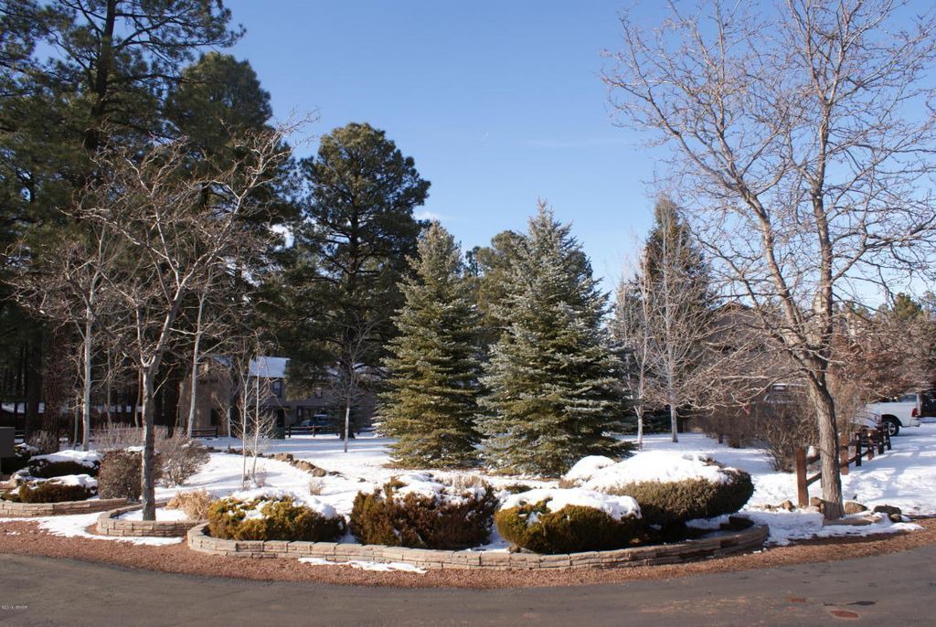 Photo of Outdoor in Pinetop
