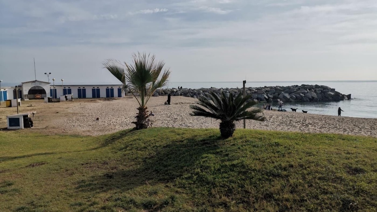 Photo of Others in Vilassar de Mar