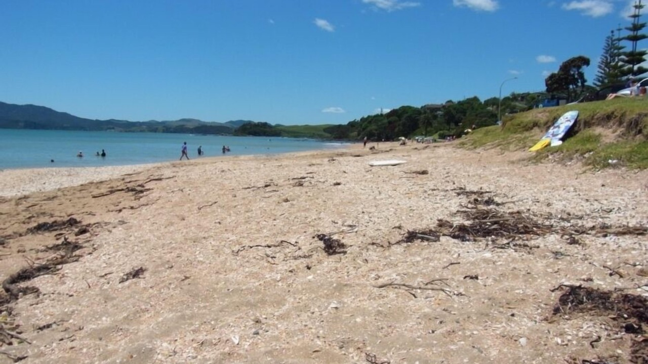 Photo of Others in Cable Bay