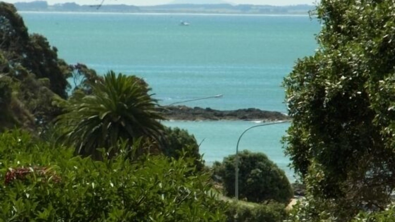 Photo of Others in Cable Bay