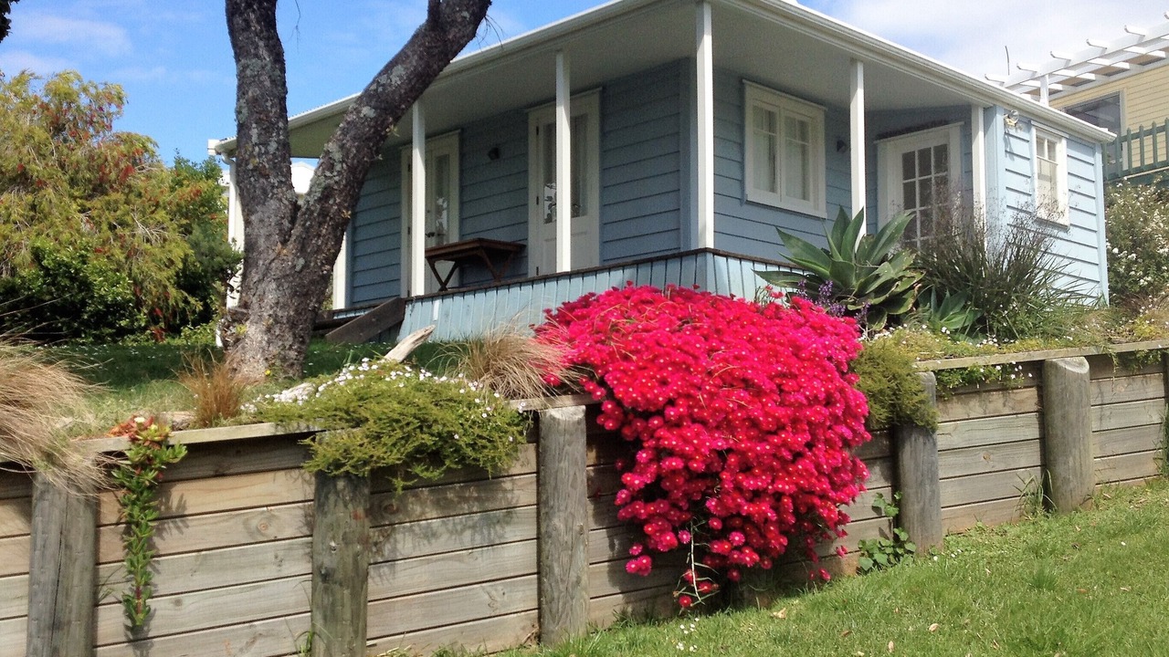 Photo of Outdoor in Cable Bay