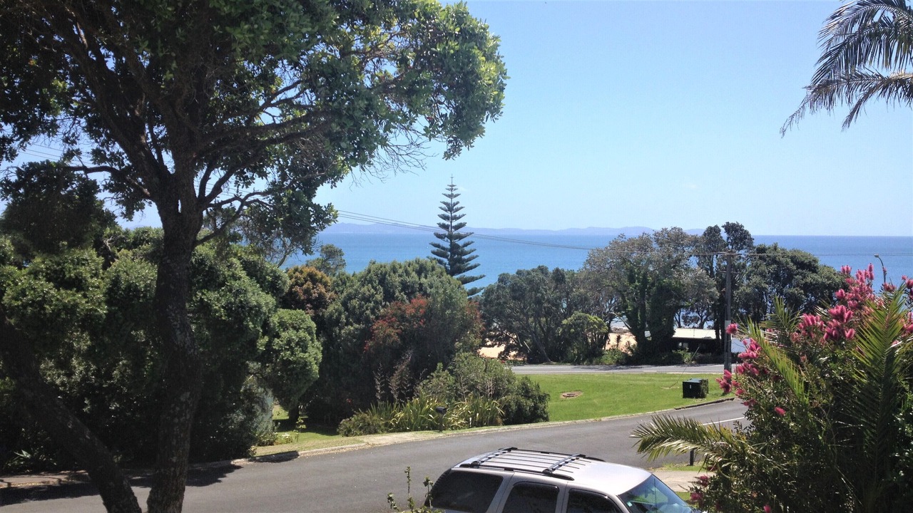 Photo of Others in Cable Bay