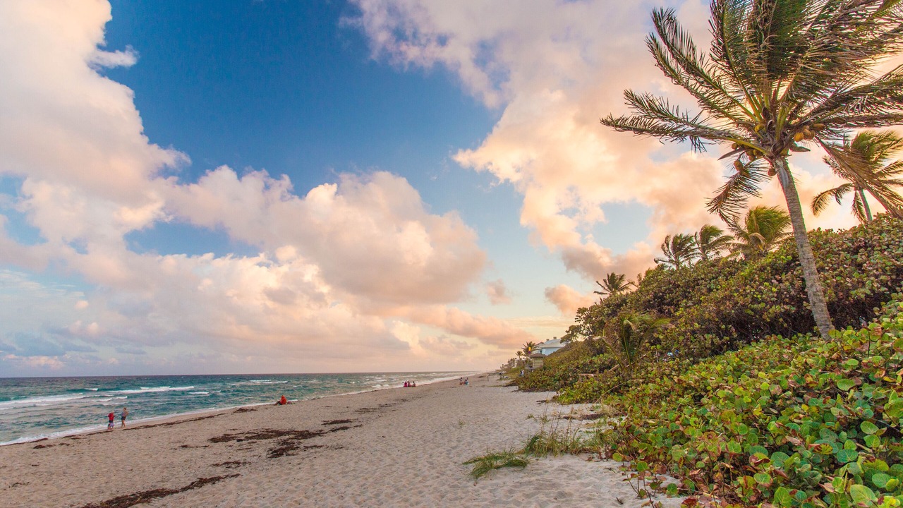 Photo of Others in Briny Breezes
