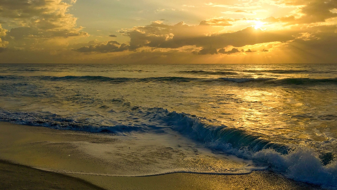 Photo of Others in Briny Breezes