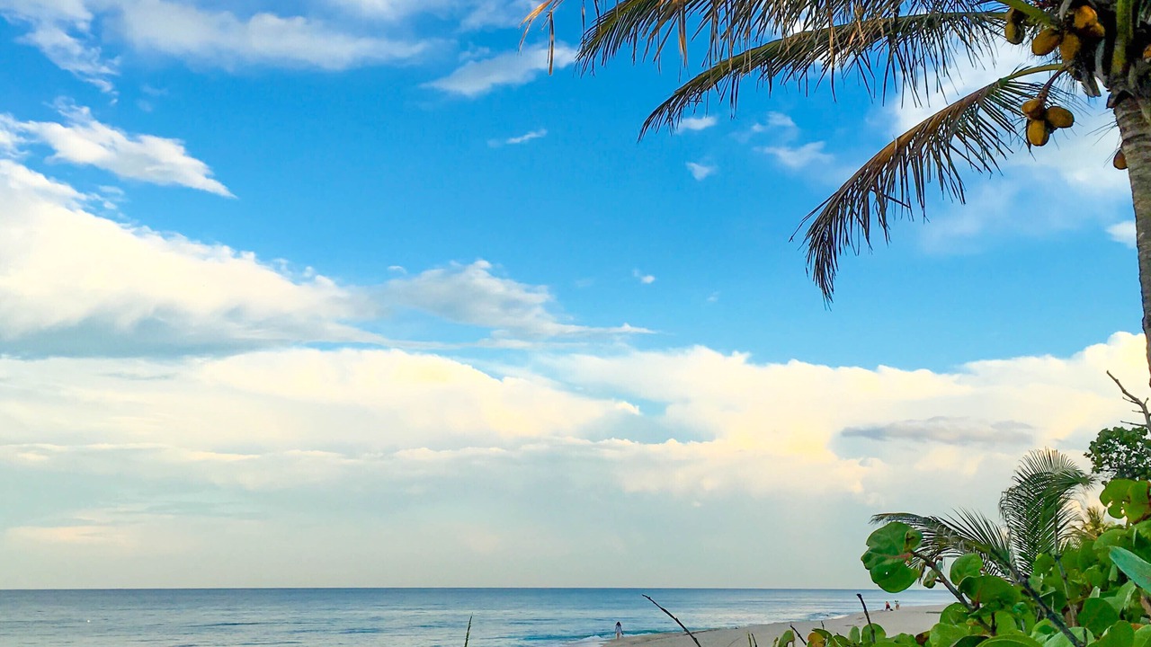 Photo of Others in Briny Breezes