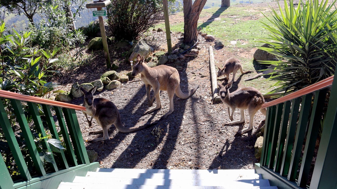 Photo of Others in Vacy