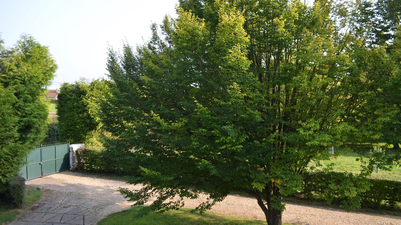 Photo of Outdoor in Sigy-en-Bray