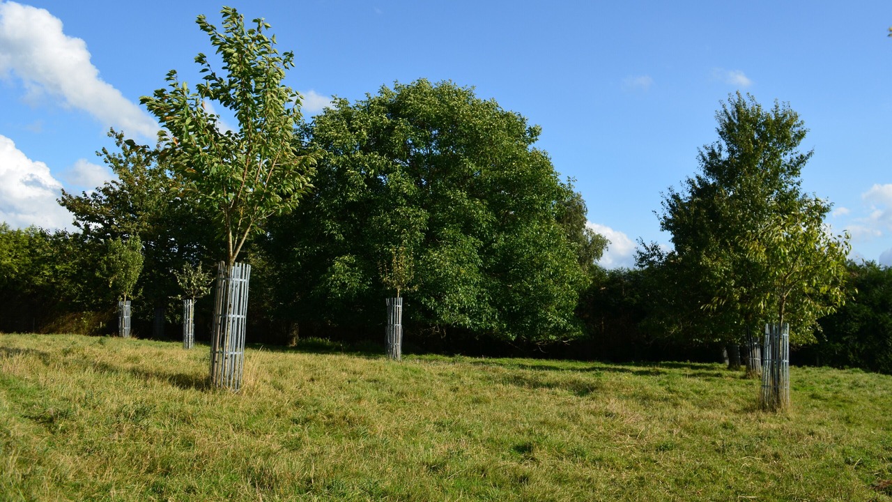Photo of Outdoor in Sigy-en-Bray