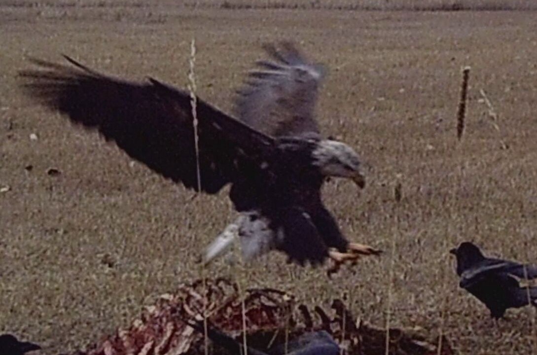 Photo of Outdoor in Condon