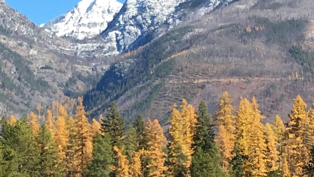 Photo of Others in Condon