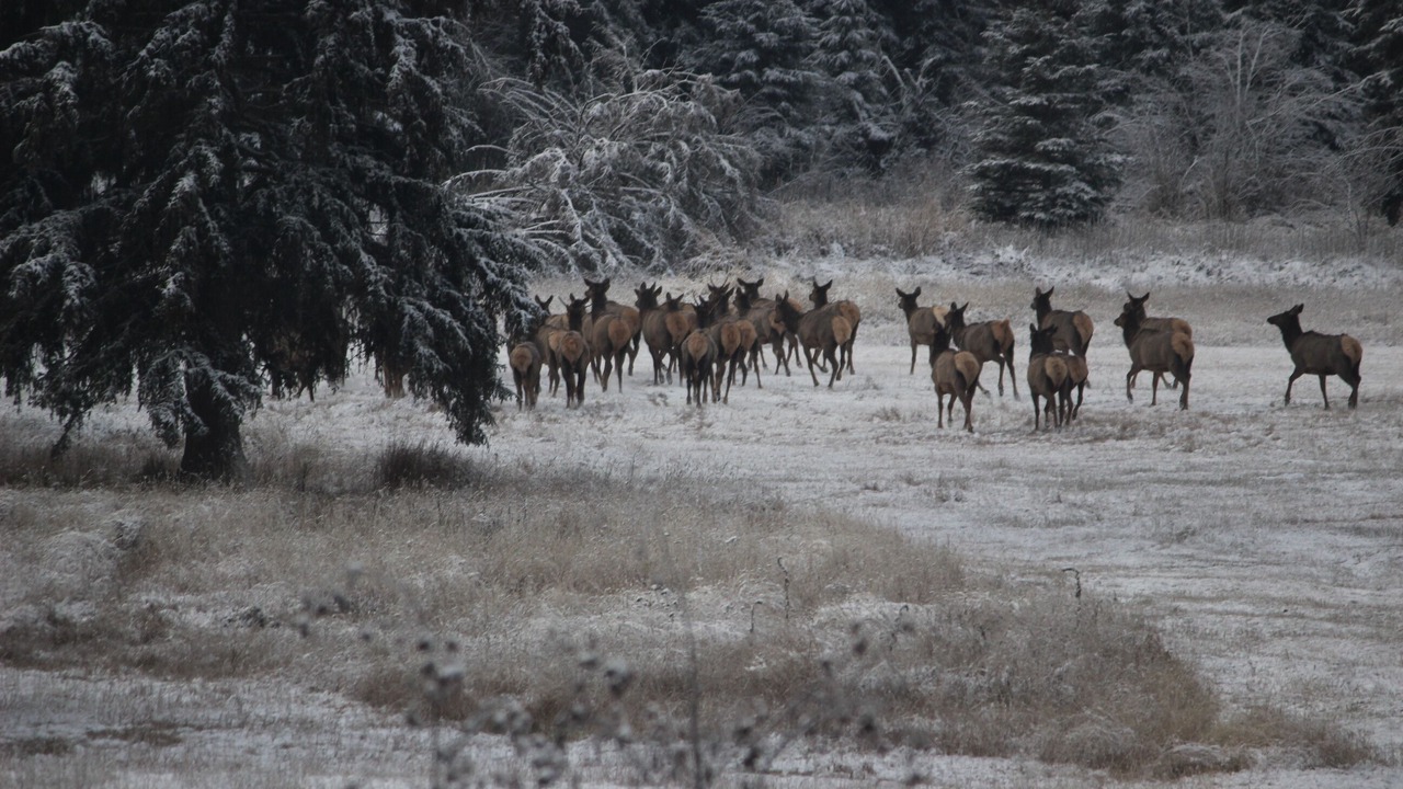 Photo of Others in Condon