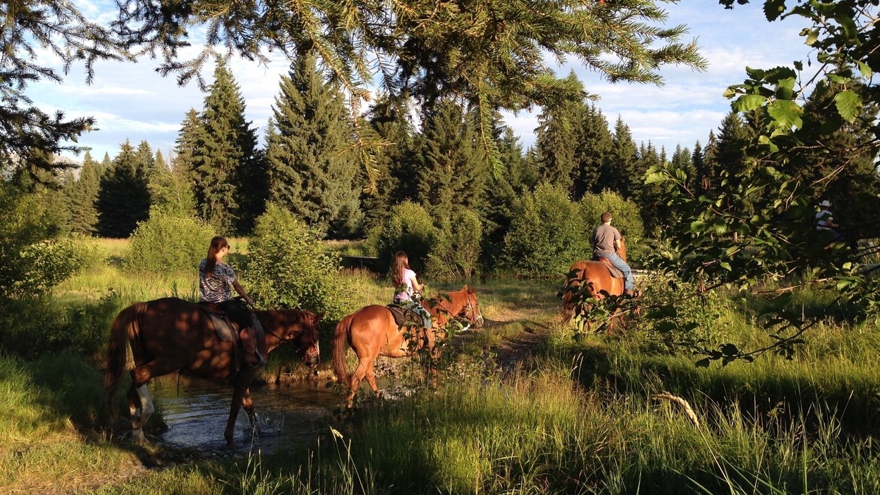 Photo of Others in Condon