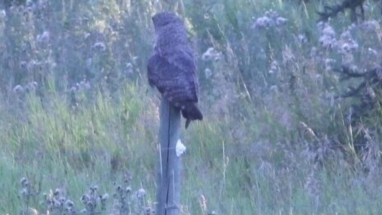 Photo of Others in Condon