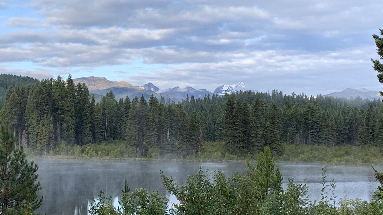 Photo of Others in Condon