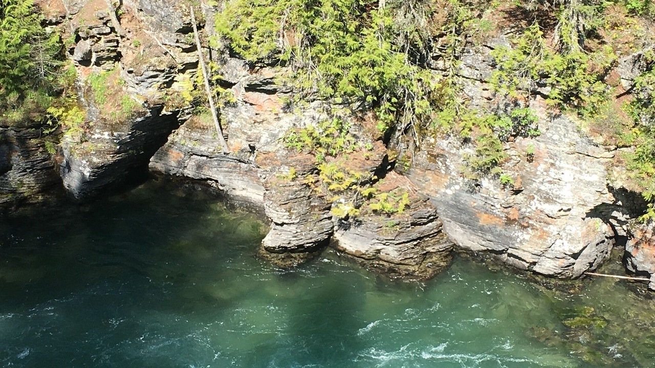 Photo of Others in Condon