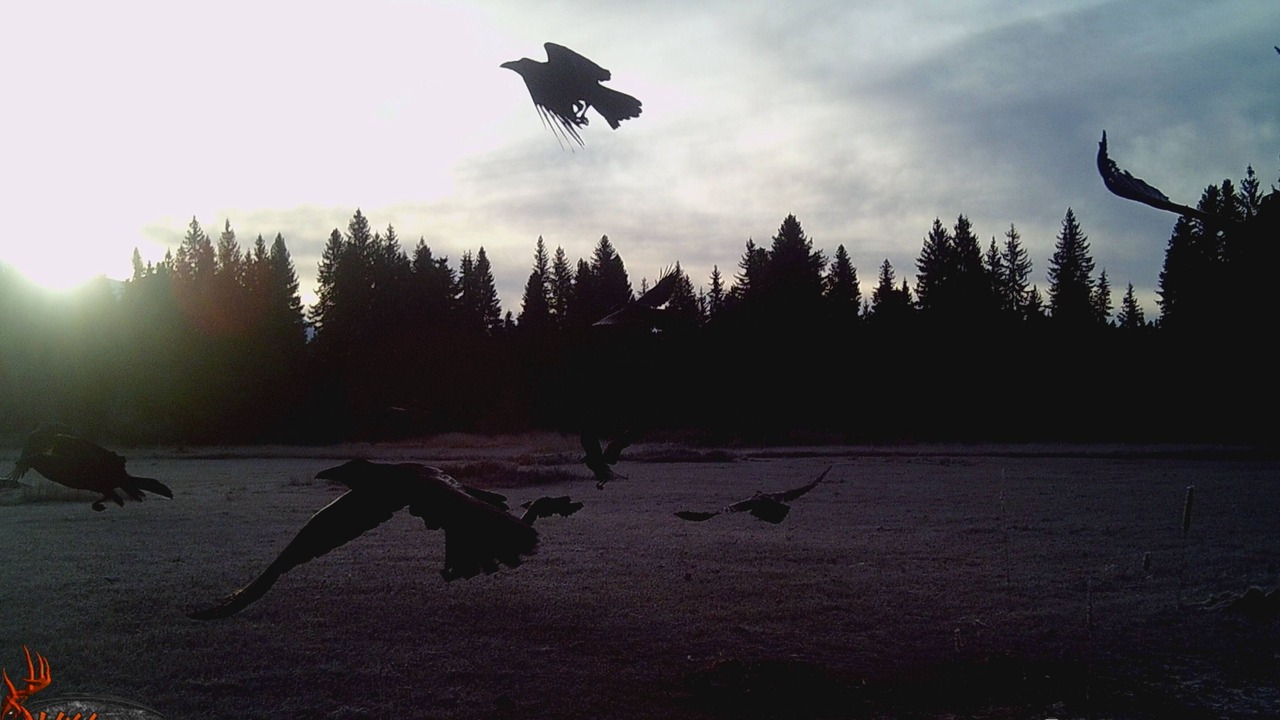 Photo of Outdoor in Condon