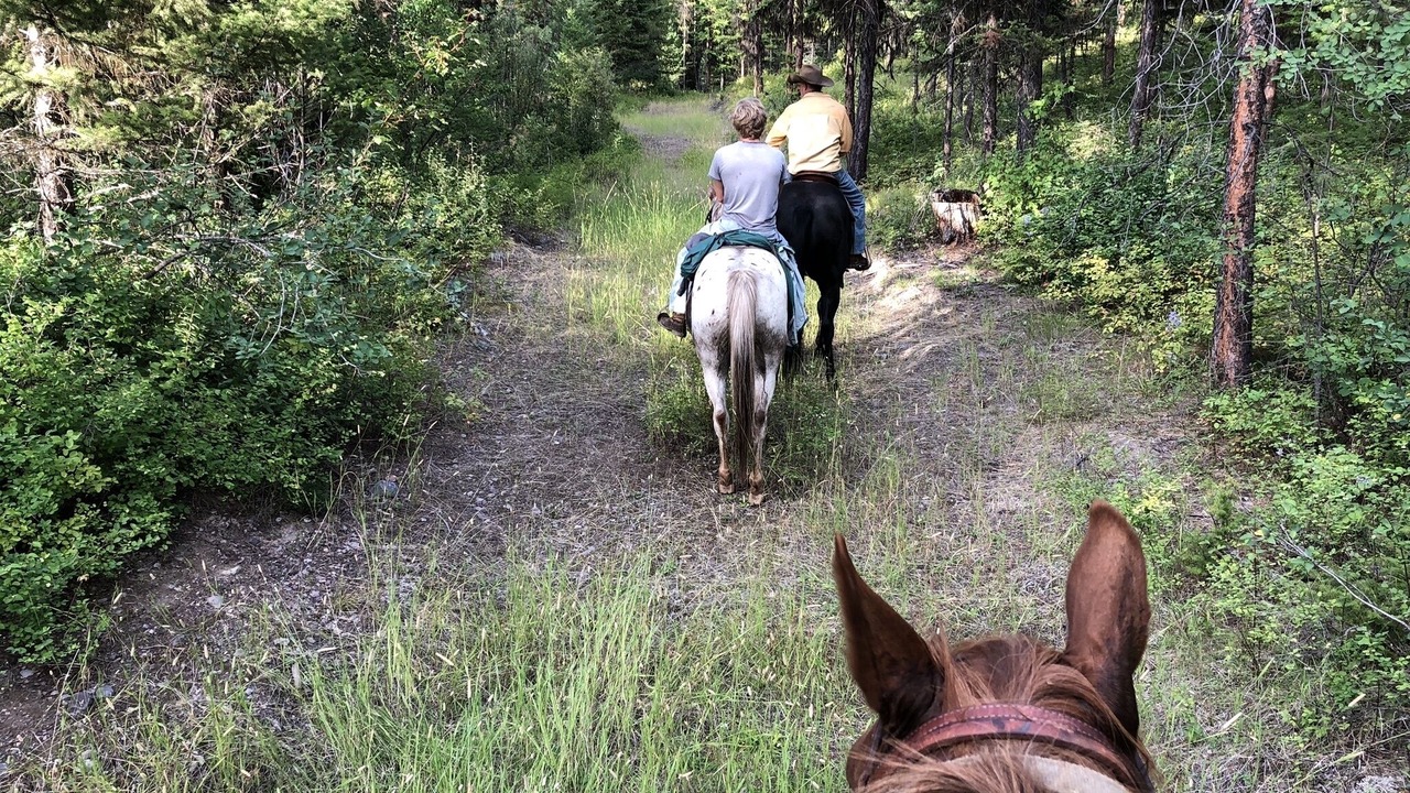 Photo of Others in Condon