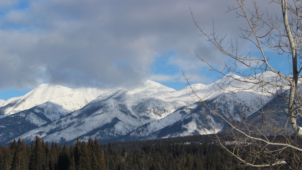 Photo of Others in Condon