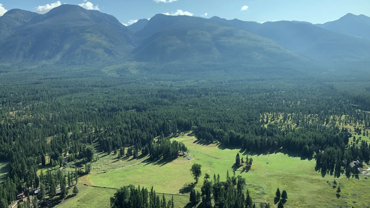 Photo of Others in Condon