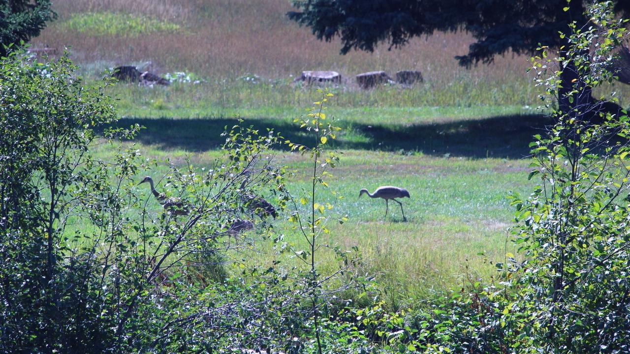 Photo of Others in Condon