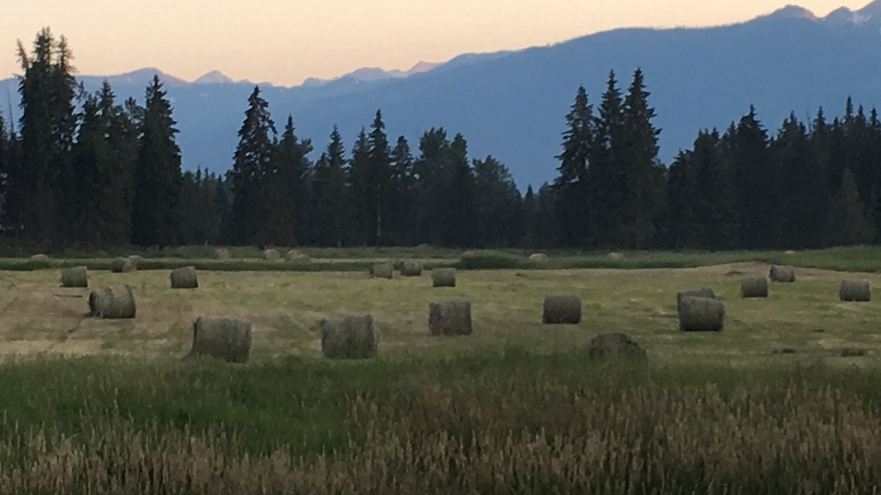 Photo of Others in Condon