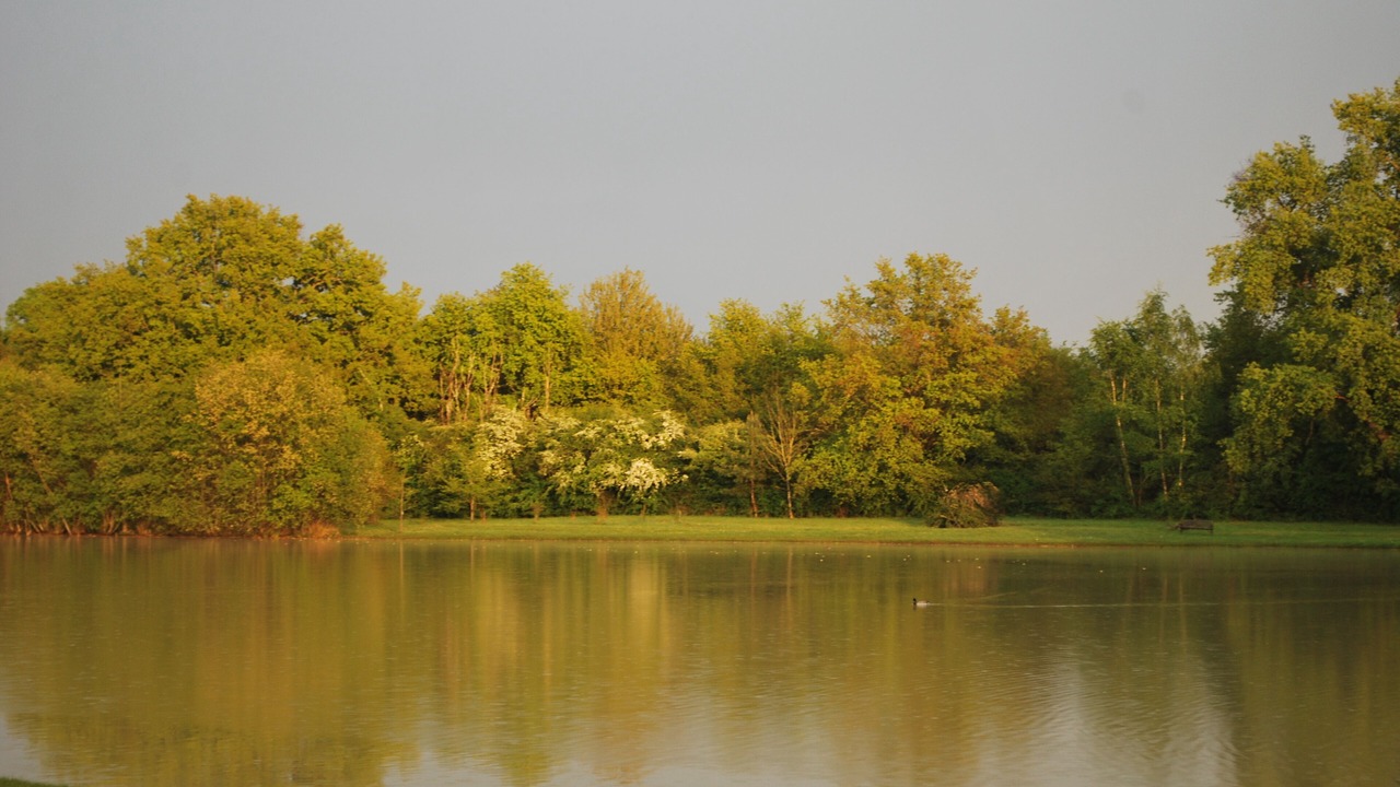 Photo of Others in Jouy-le-Potier