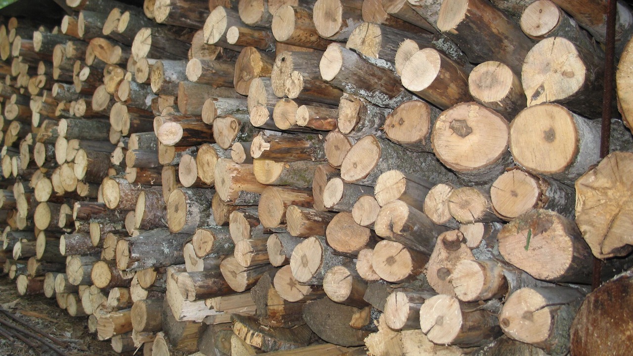 Photo of Others in Negaunee