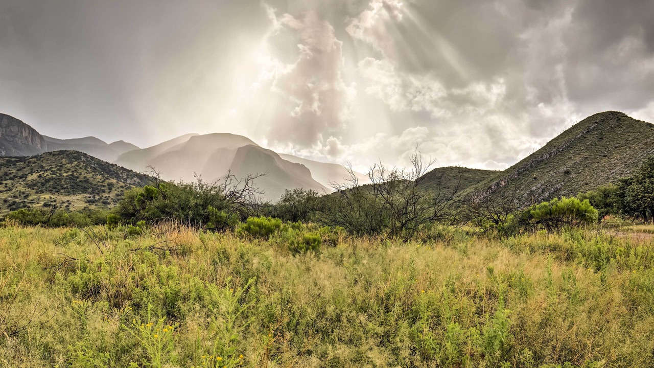 Photo of Others in Sierra Vista Southeast