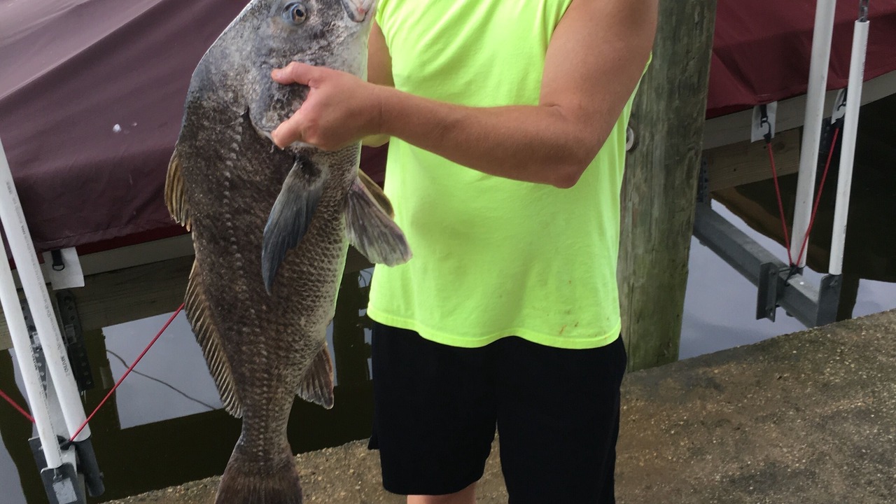 Photo of Outdoor in Slidell