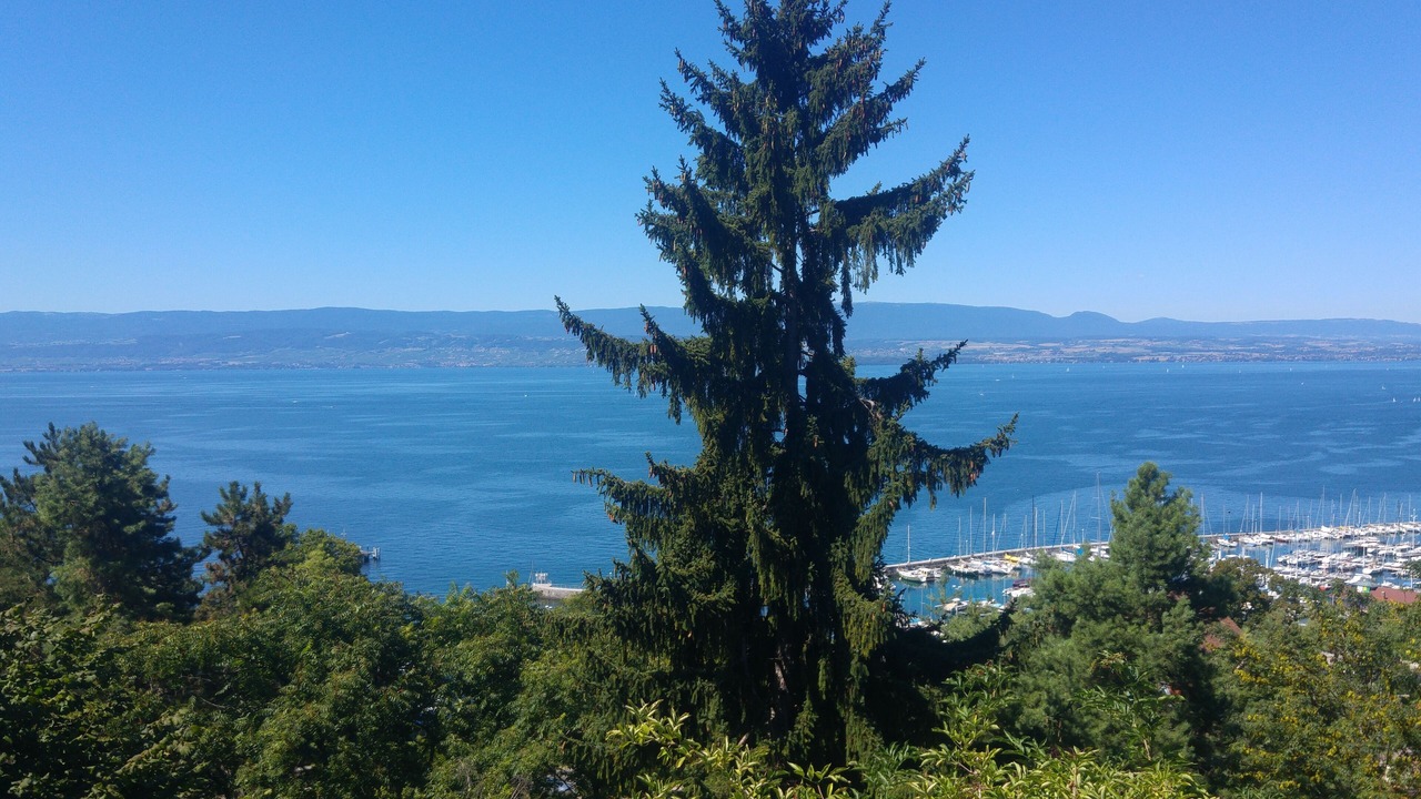 Photo of Others in Thonon-les-Bains