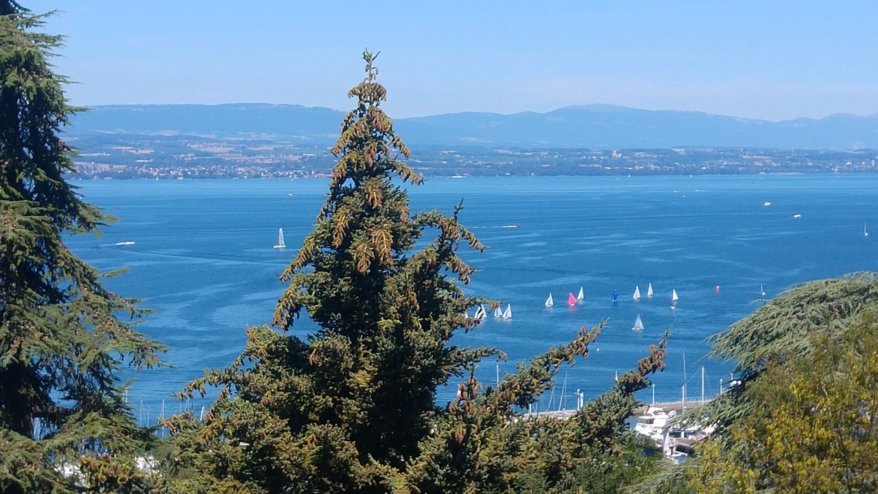 Photo of Others in Thonon-les-Bains