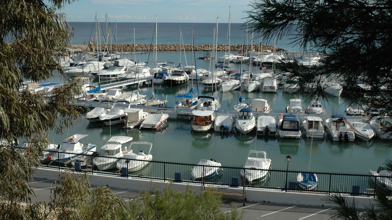 Photo of Others in Torre de la Horadada